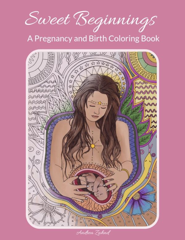 Sweet Beginnings Pregnancy and Birth Coloring Book Cover